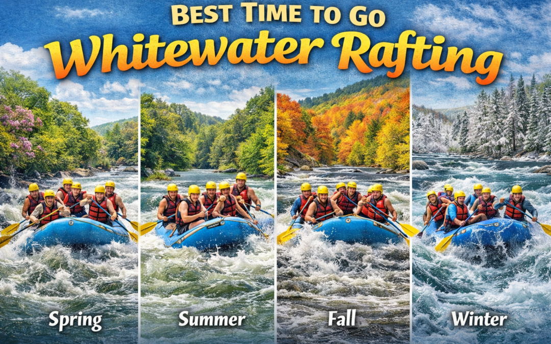 When Is the Best Time to Go Whitewater Rafting on the Ocoee River?